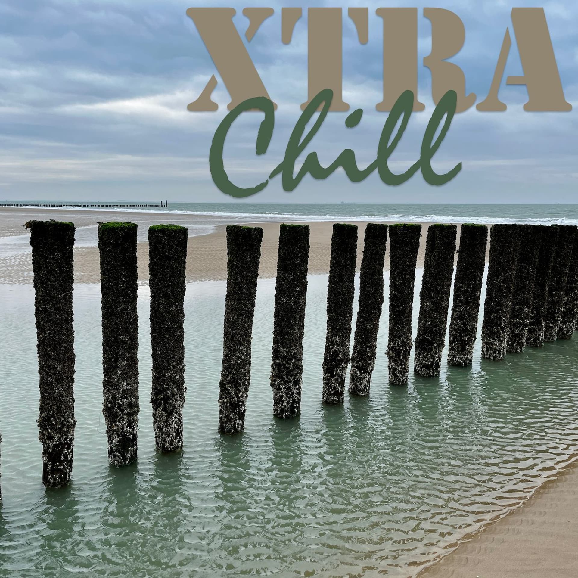 XtraChill 431 - XtraChill-SK cover