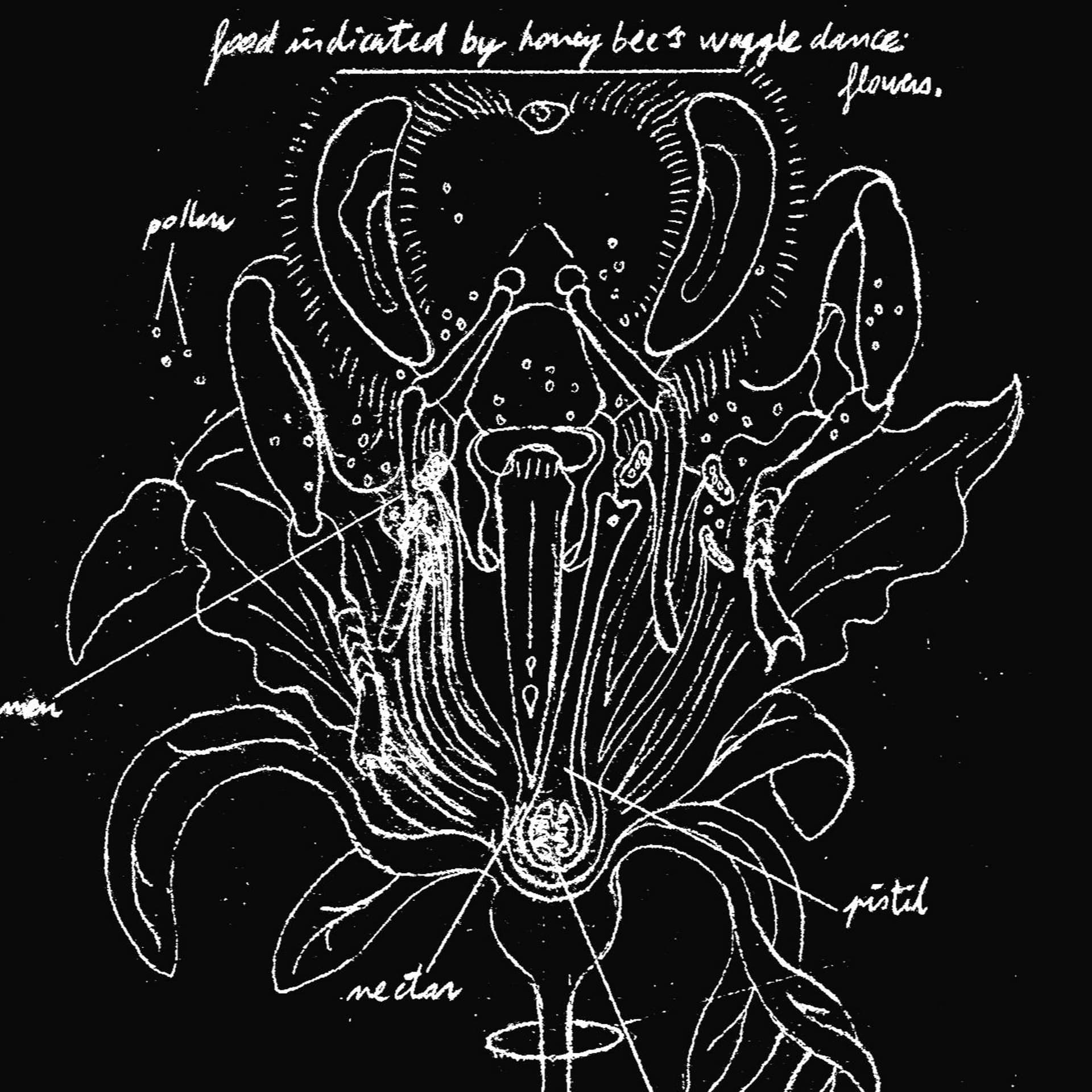 An open-source bee for a poisonous environment (with beekeeper and biologist Julien Perrin) - The Soft Protest, Digest cover