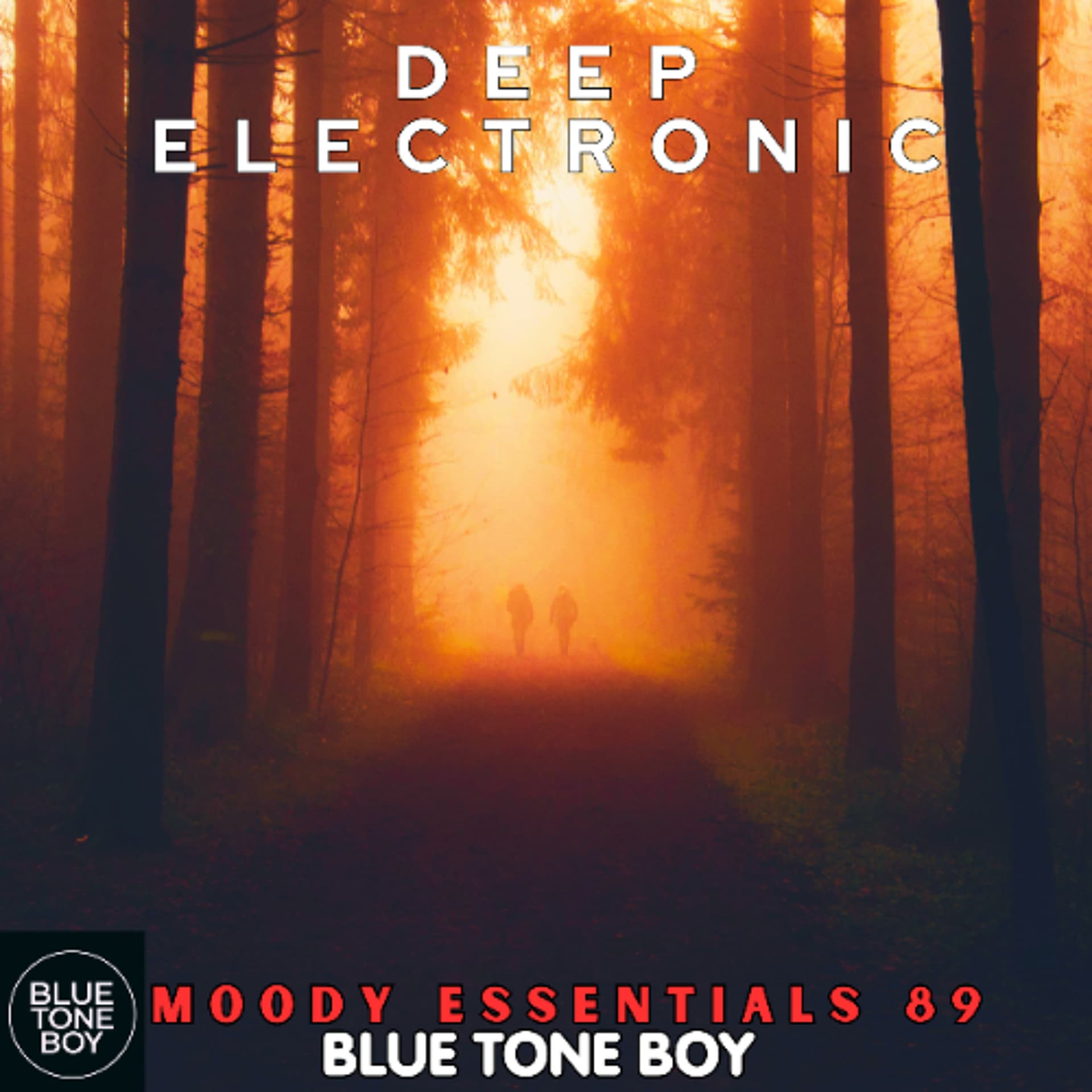 Moody Essentials 89 ~ #DeepElectronic Mix - Music B.T.B. cover