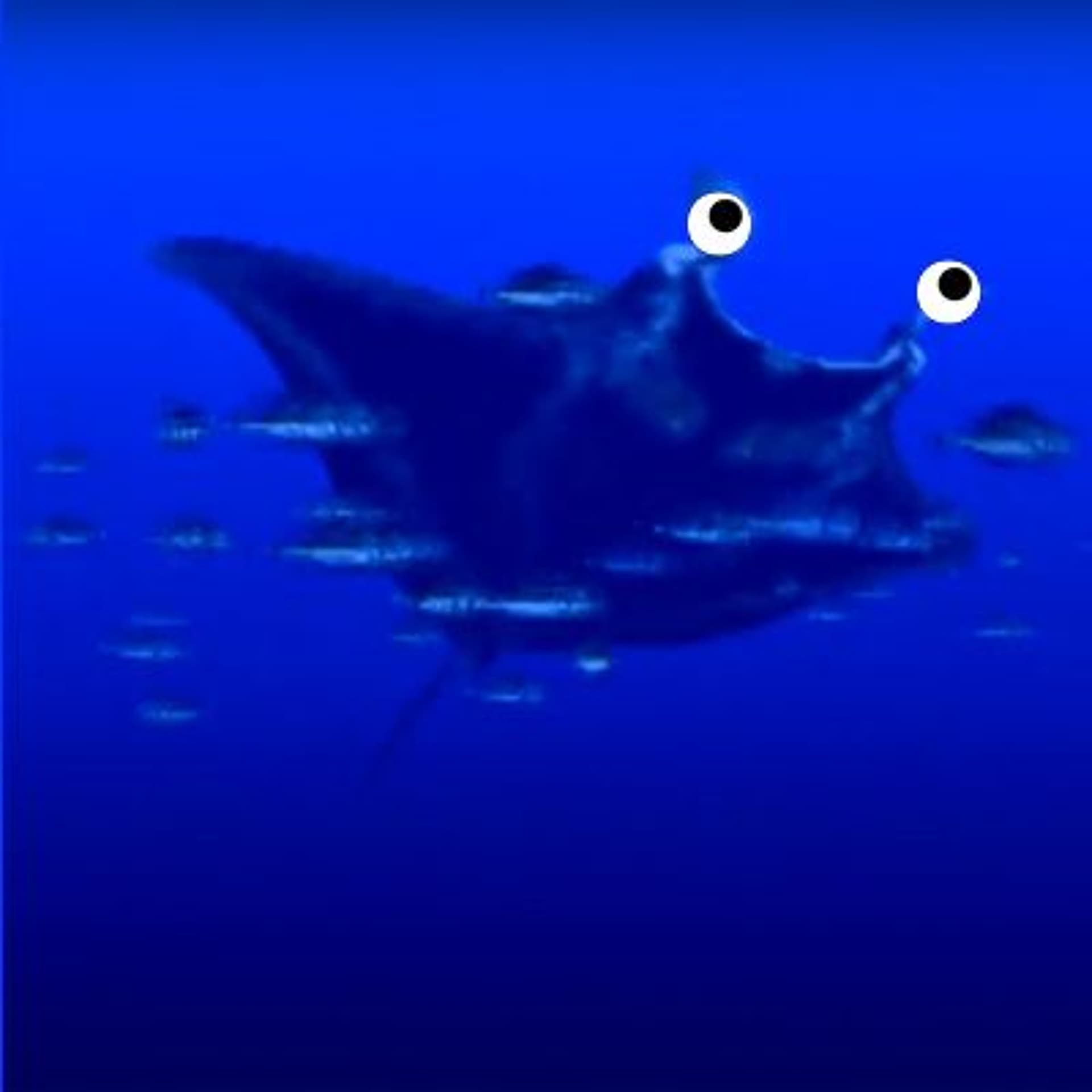 Manta Mobula (PSX MANTA SAMPLE CHALLENGE) - AzureNova cover