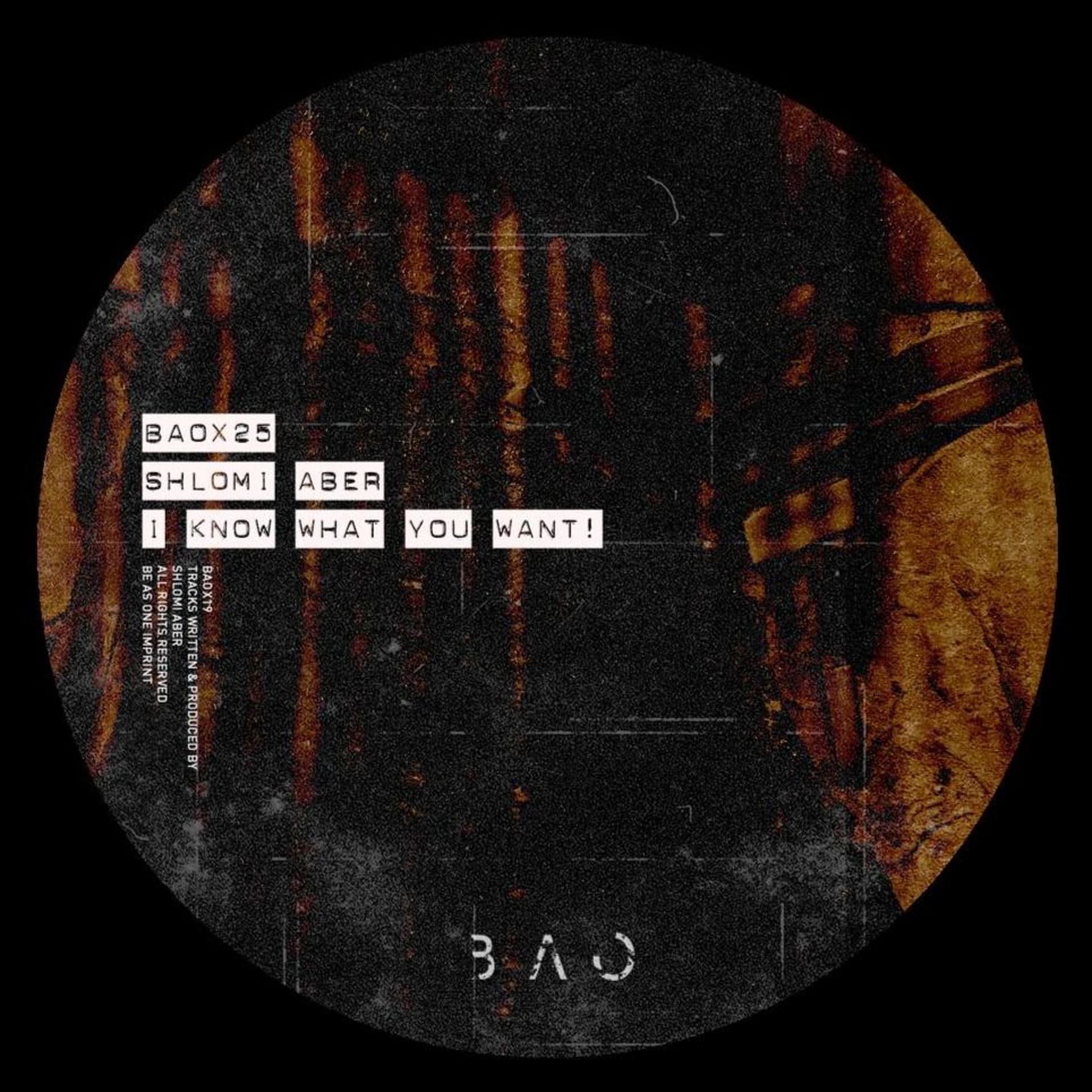 Premiere: Shlomi Aber - I Know What You Want [BAOX25] - HATE Podcasts cover