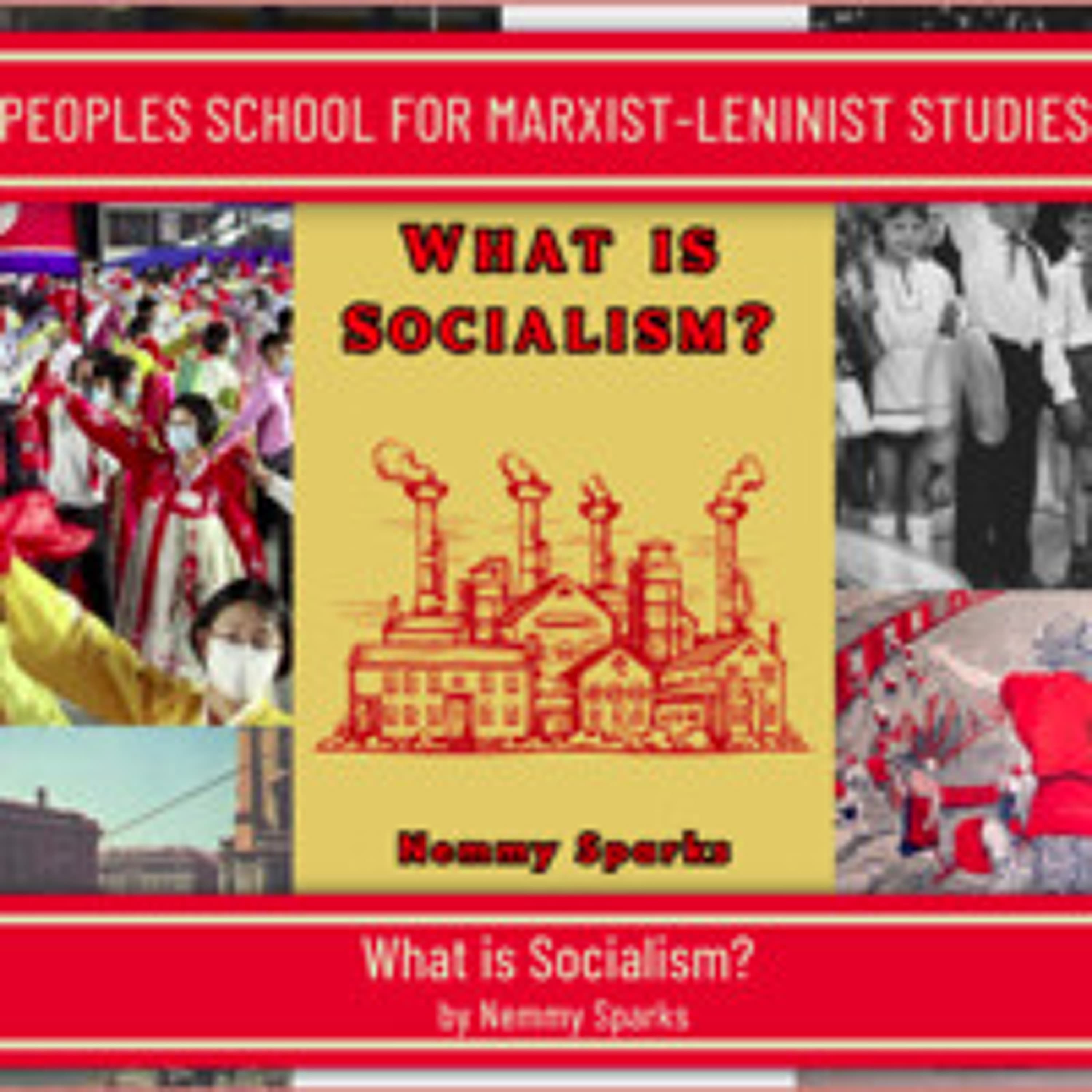 What is Socialism - PSMLS Class - The People’s School for Marxist-Leninist Studies cover
