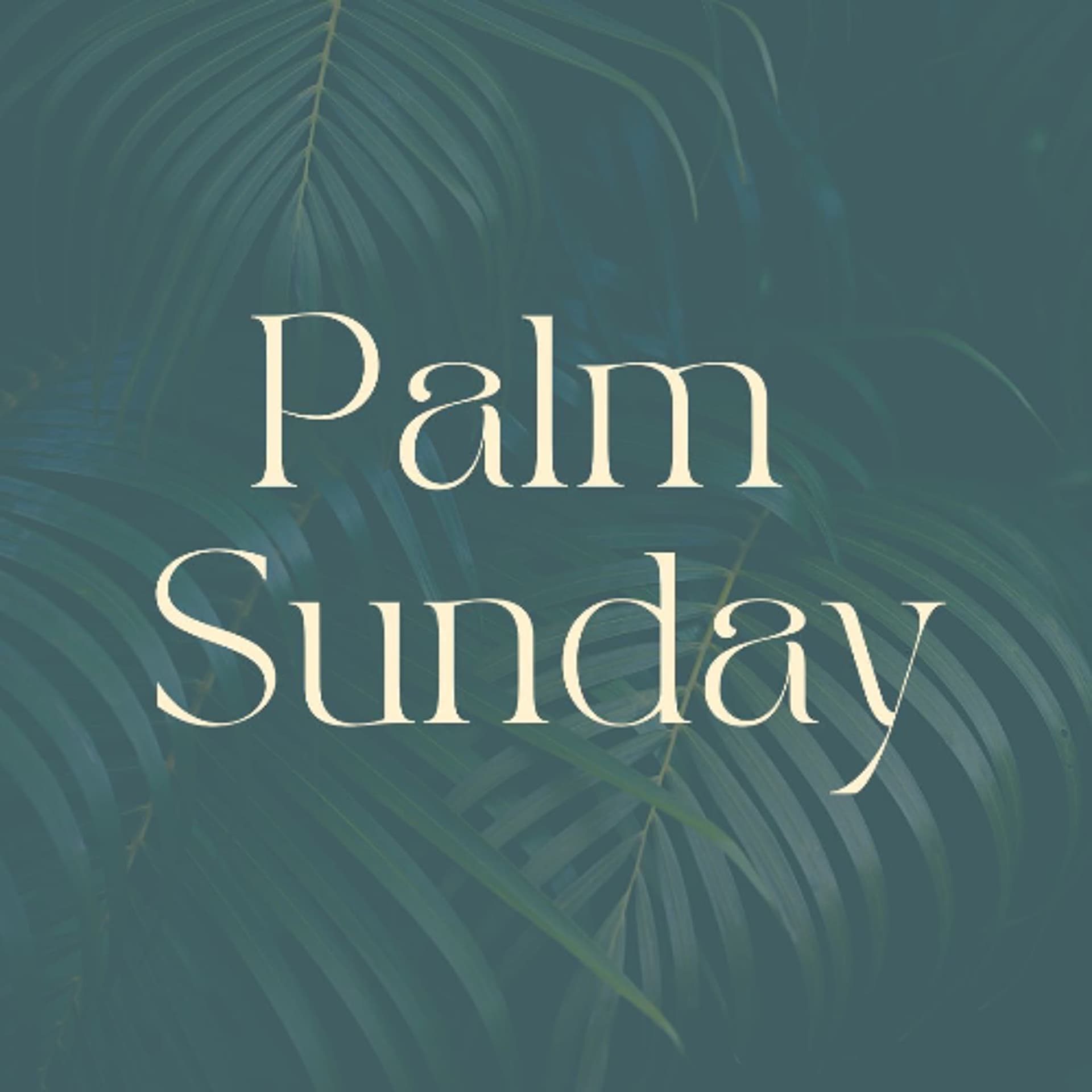 Palm Sunday | Matthew 21:11-22 - Refuge Community Church cover