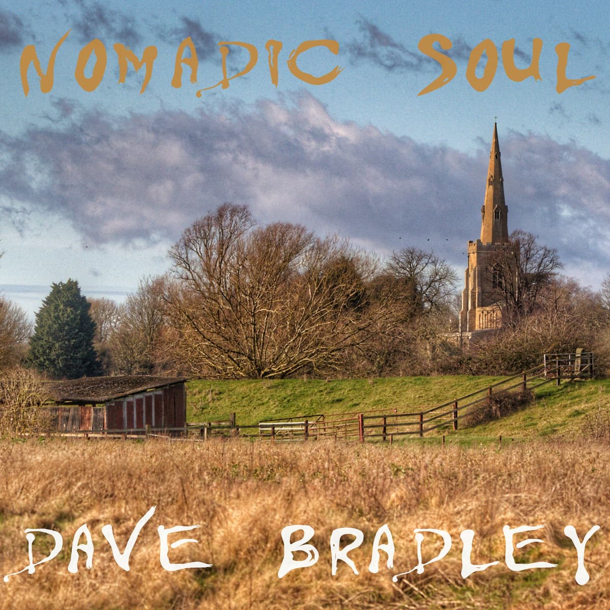 Nomadic Soul - Dave Bradley cover