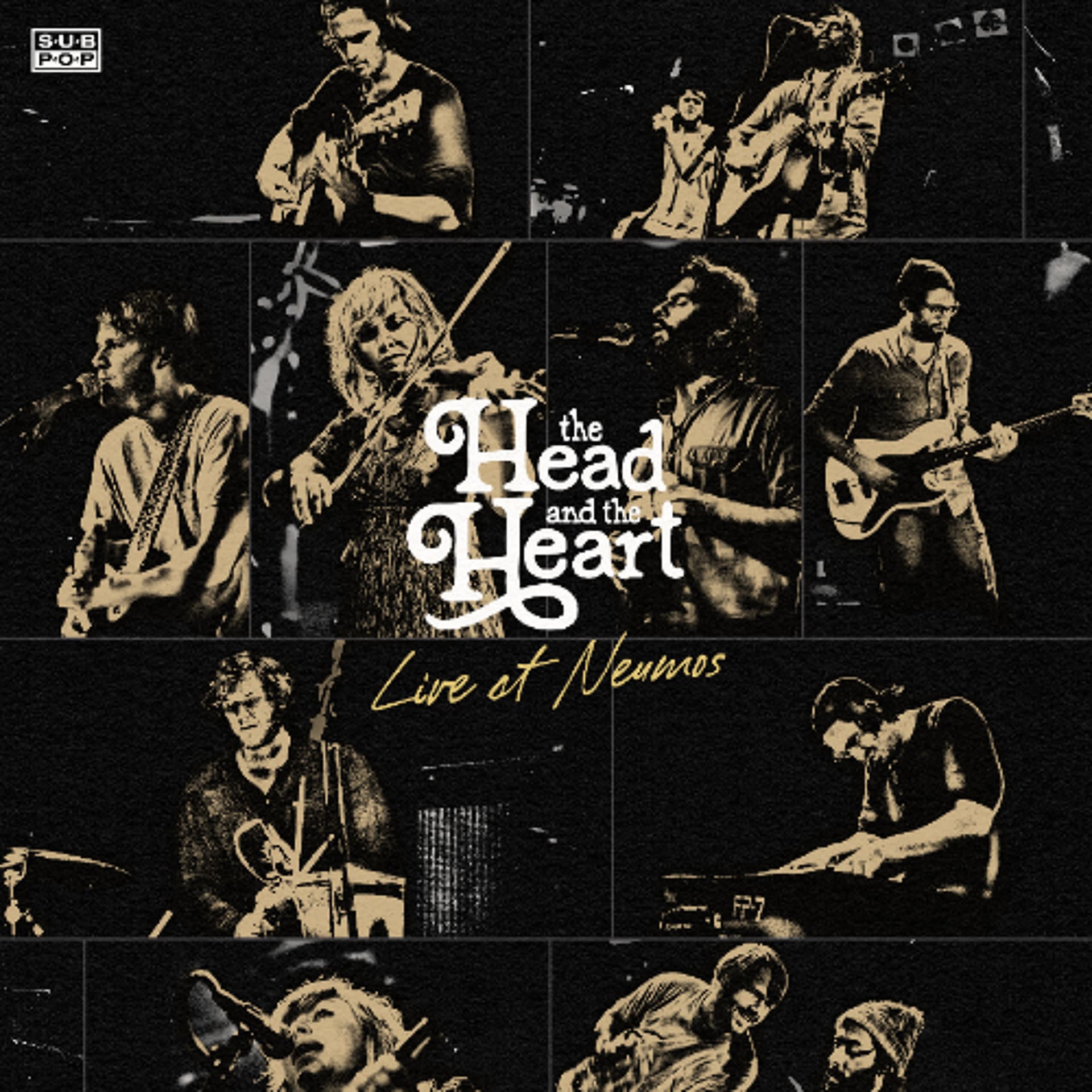 The Head and The Heart - Rivers and Roads (Live at Neumos) — Sub Pop cover