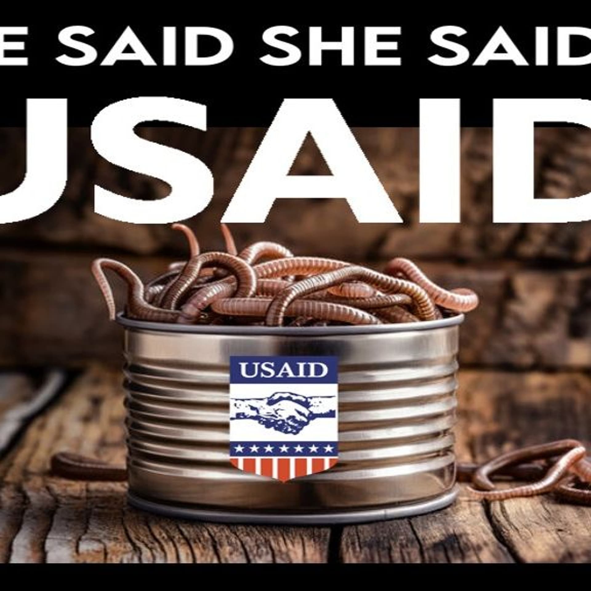 Show sample for 2/11/25: HE SAID SHE SAID USAID W/ JAMES CORBETT - Ground Zero Media cover