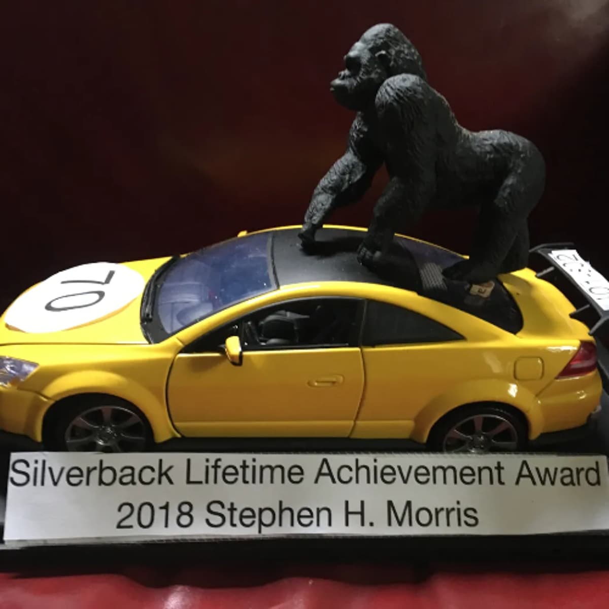 Episode 315-Clixed-Up Miches with Stephen Morris - The Natural Curiosity Project cover