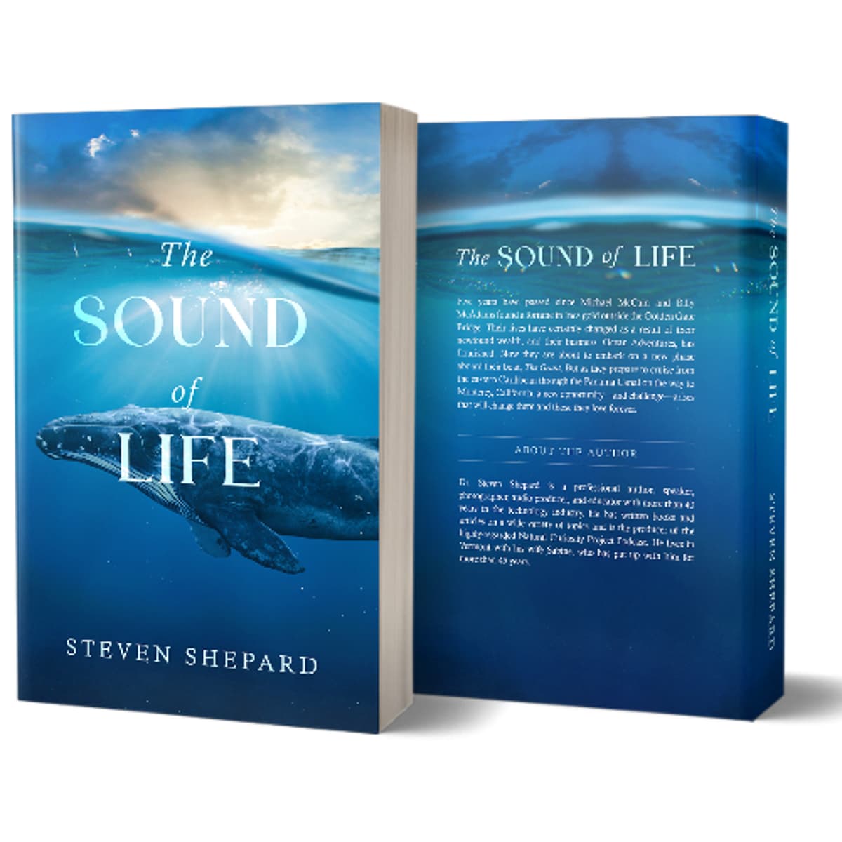 Kyle Steele Interview - The Natural Curiosity Project cover