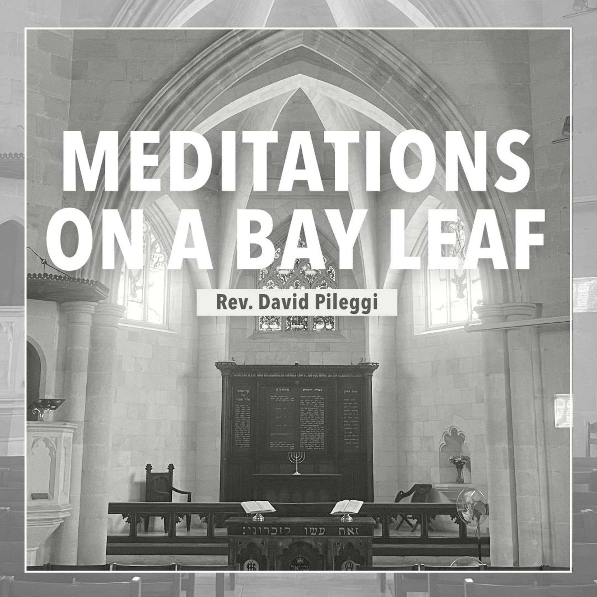 Meditations on a Bay Leaf - Rev. David Pileggi - Christ Church Jerusalem cover