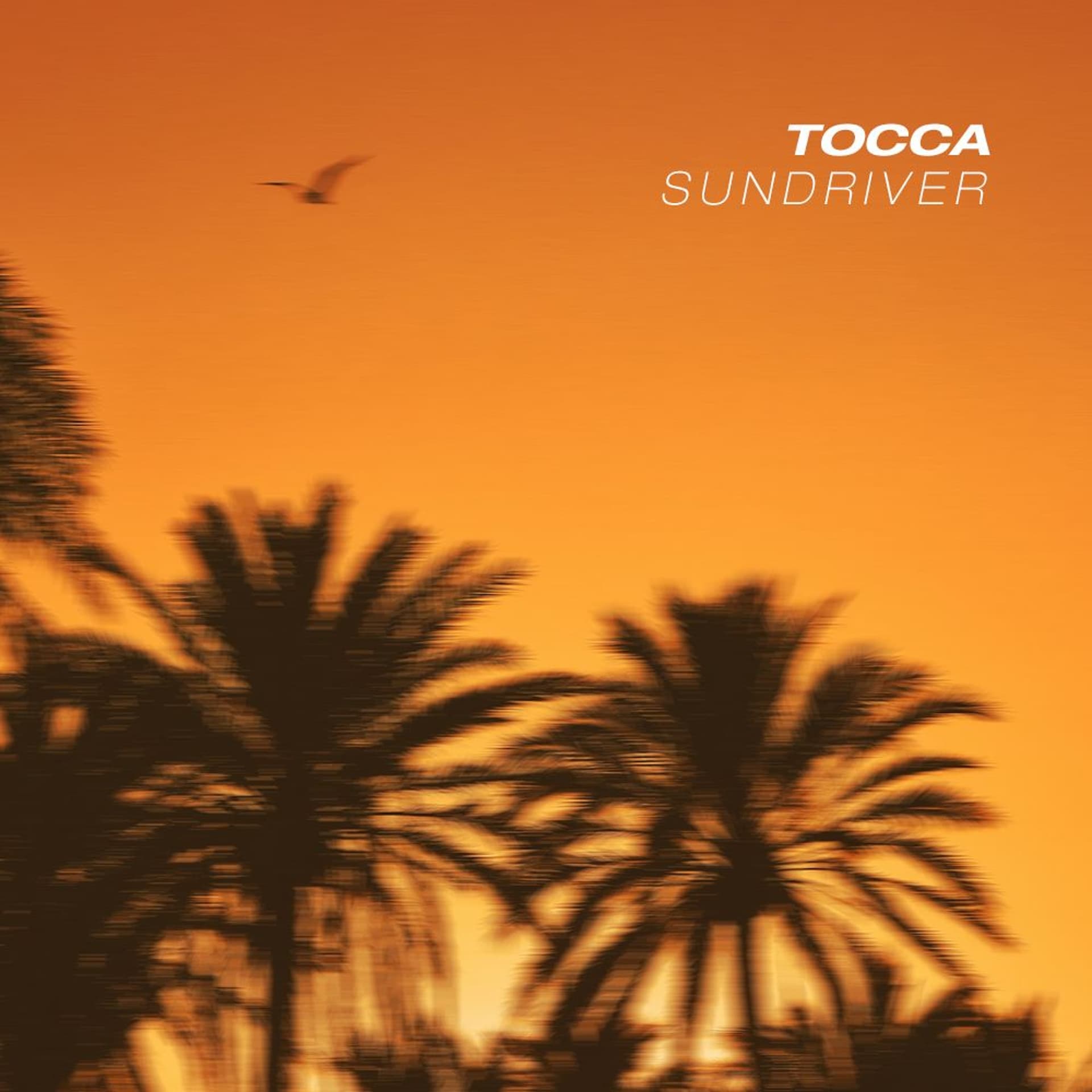 Sundriver (Original Mix) - Kieran Johnson cover