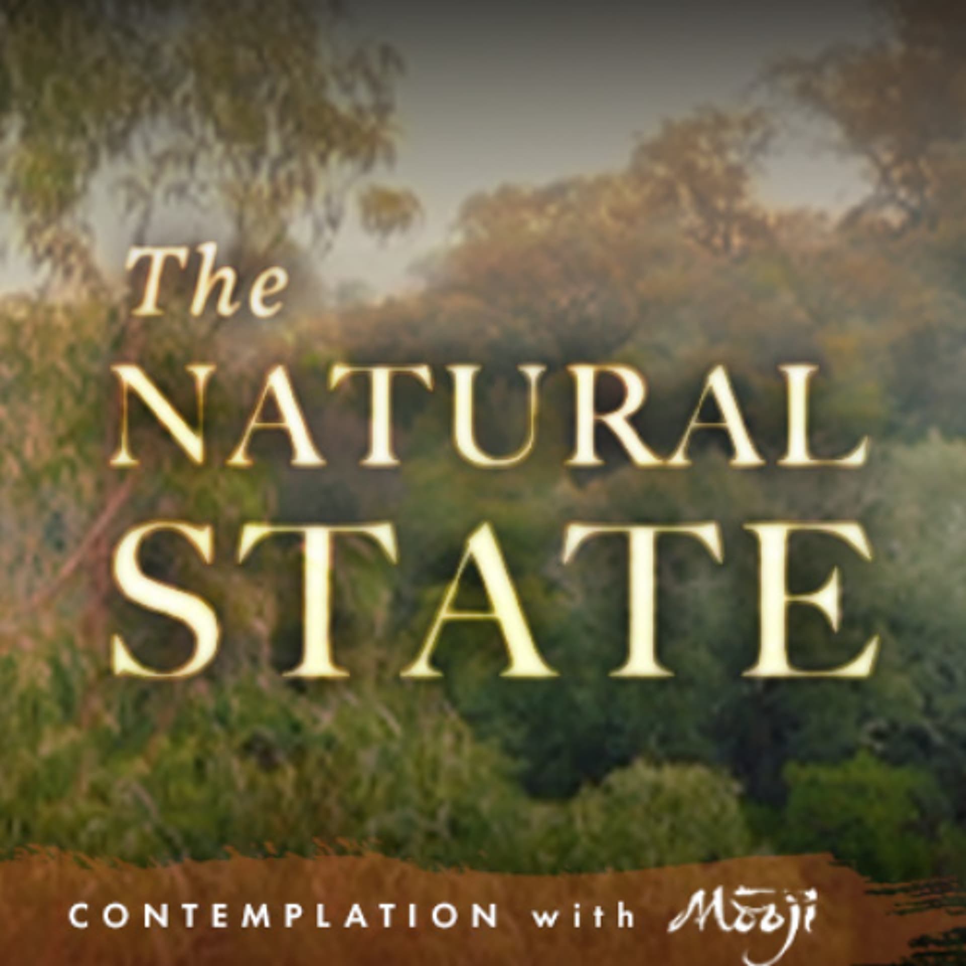 The Natural State - Satsang with Mooji cover