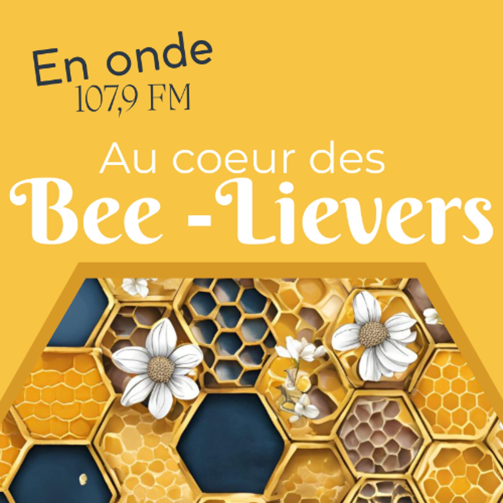 007 - Le deuil - Les émissions de Radio Victoria cover