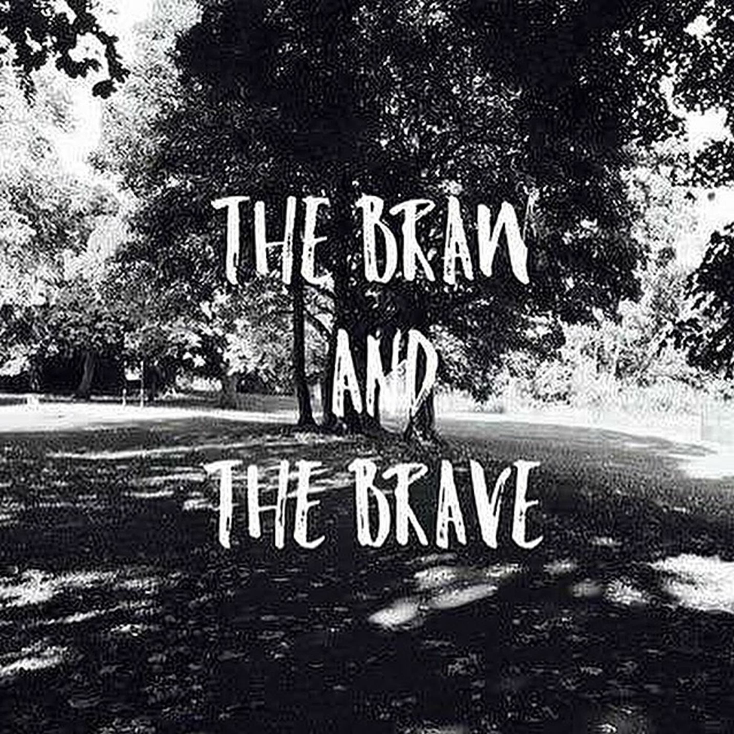 Sonali Misra - The Braw and The Brave cover