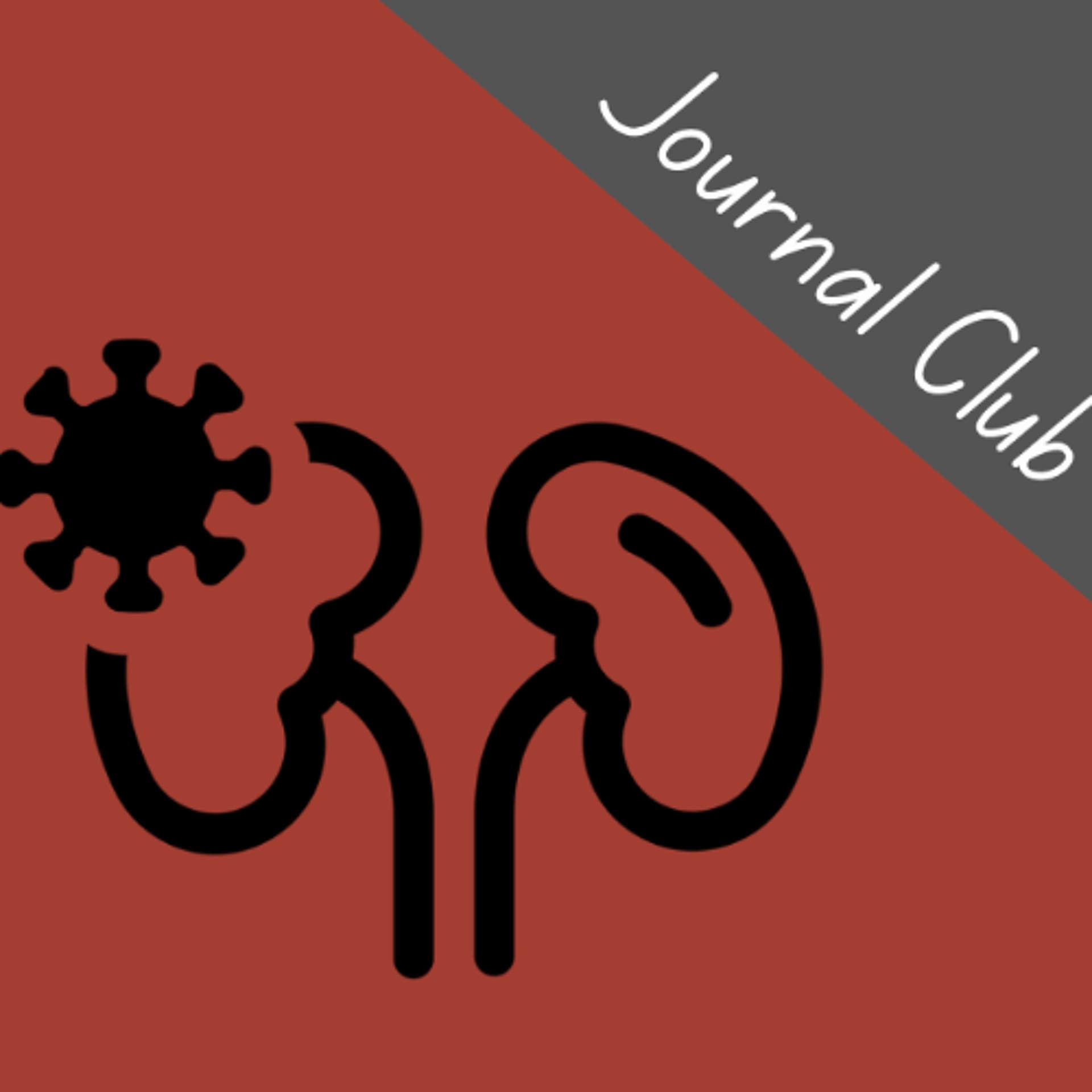 COPY That: Re-thinking Pyelonephritis Protocols in the Emergency Department - TamingtheSRU cover