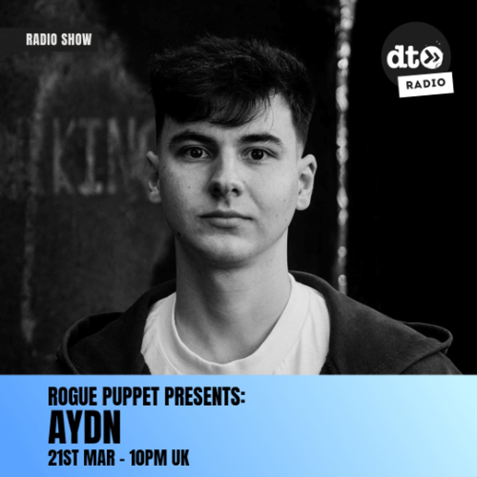 Rogue Puppet Presents: AYDN - DT Radio Shows cover