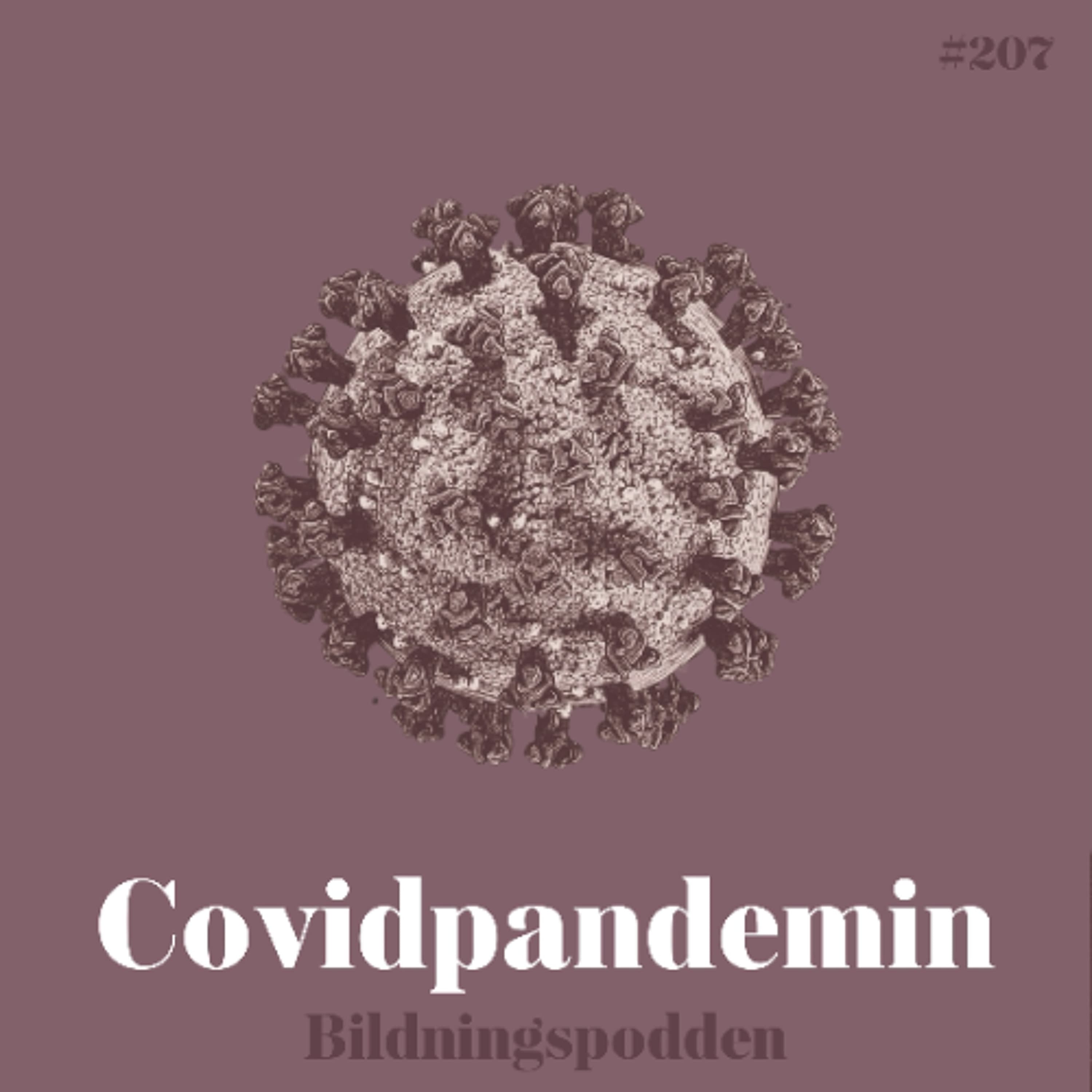 #207 Covidpandemin - Bildningspodden cover
