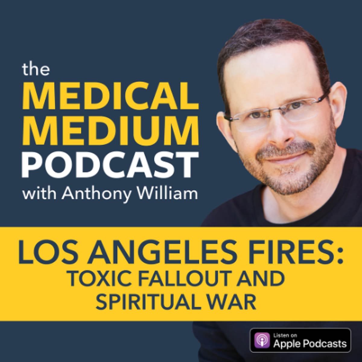080 Los Angeles Fires: Toxic Fallout And Spiritual War - Medical Medium Podcast cover