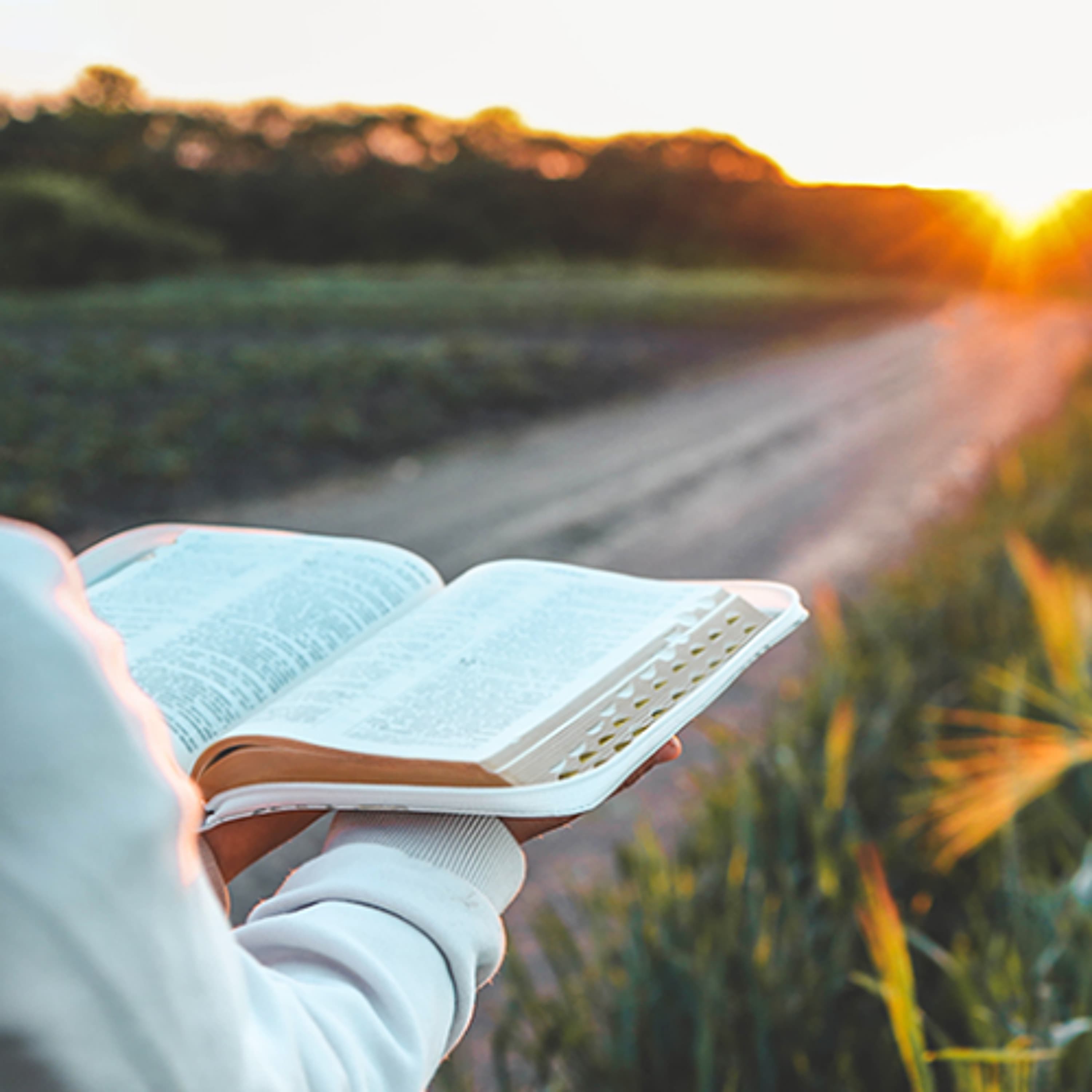 "Come with Me if You Want to Live" - Roger Meyer - Tomorrow's World Commentary cover