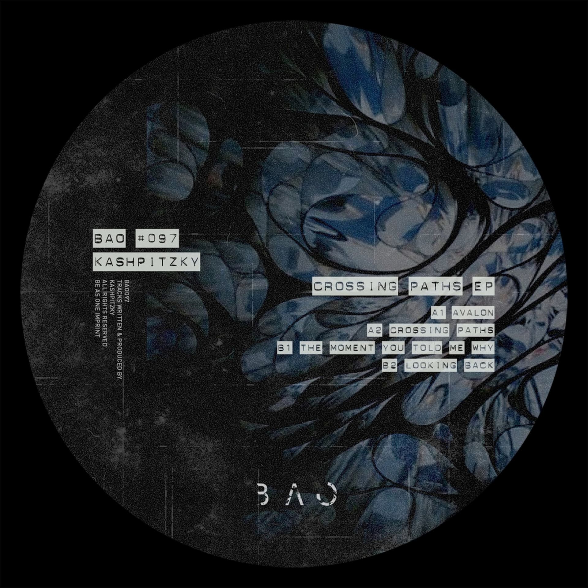 Premiere: Kashpitzky — Avalon [BAO097] - HATE Podcasts cover