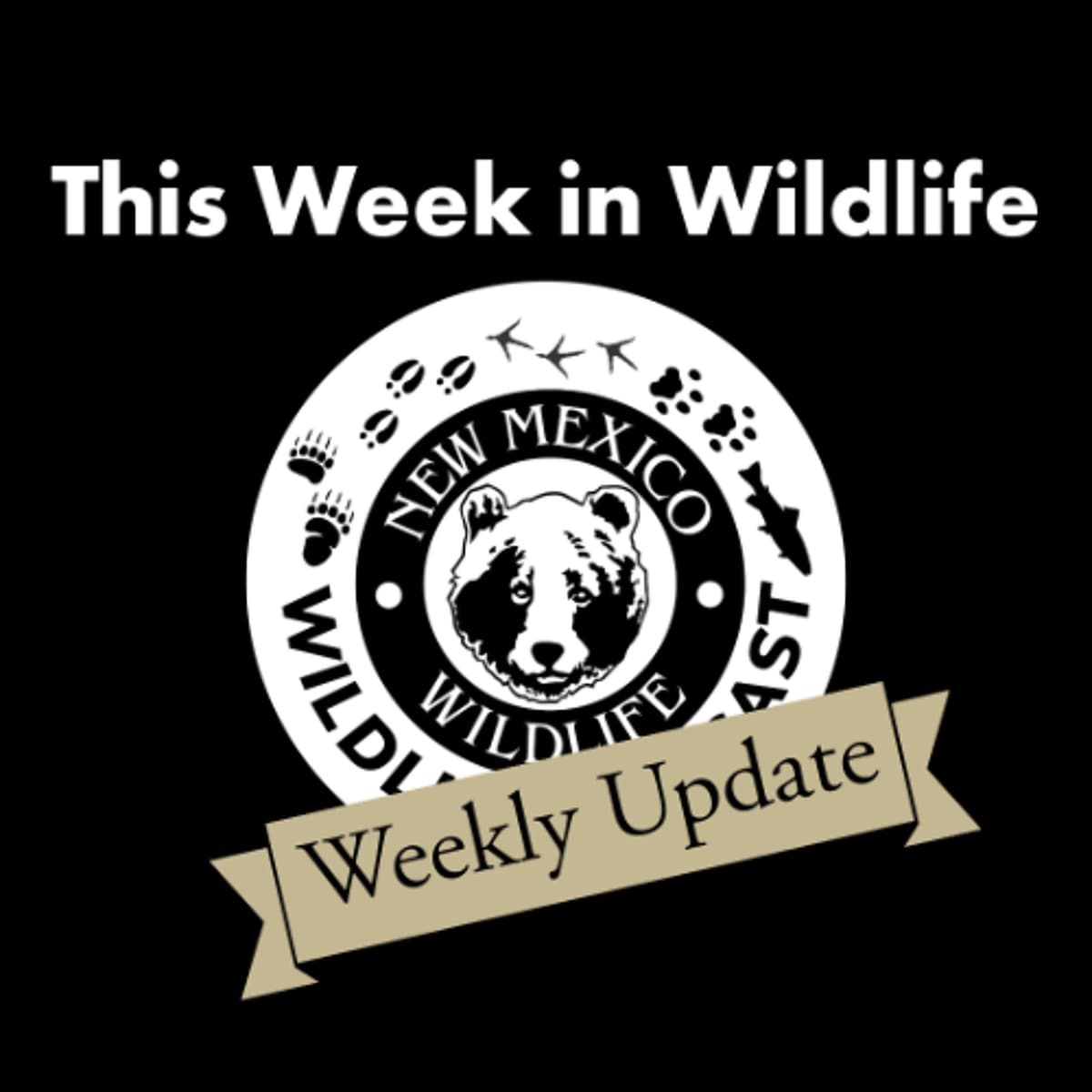 This Week in Wildlife - 7 - New Mexico Wildlife Podcast cover