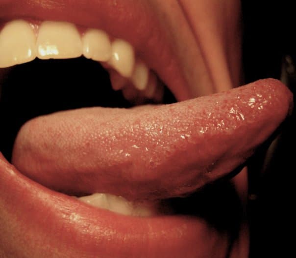 theonerosewood cover