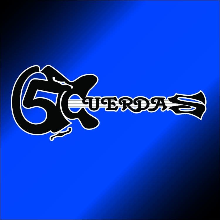 5cuerdas cover