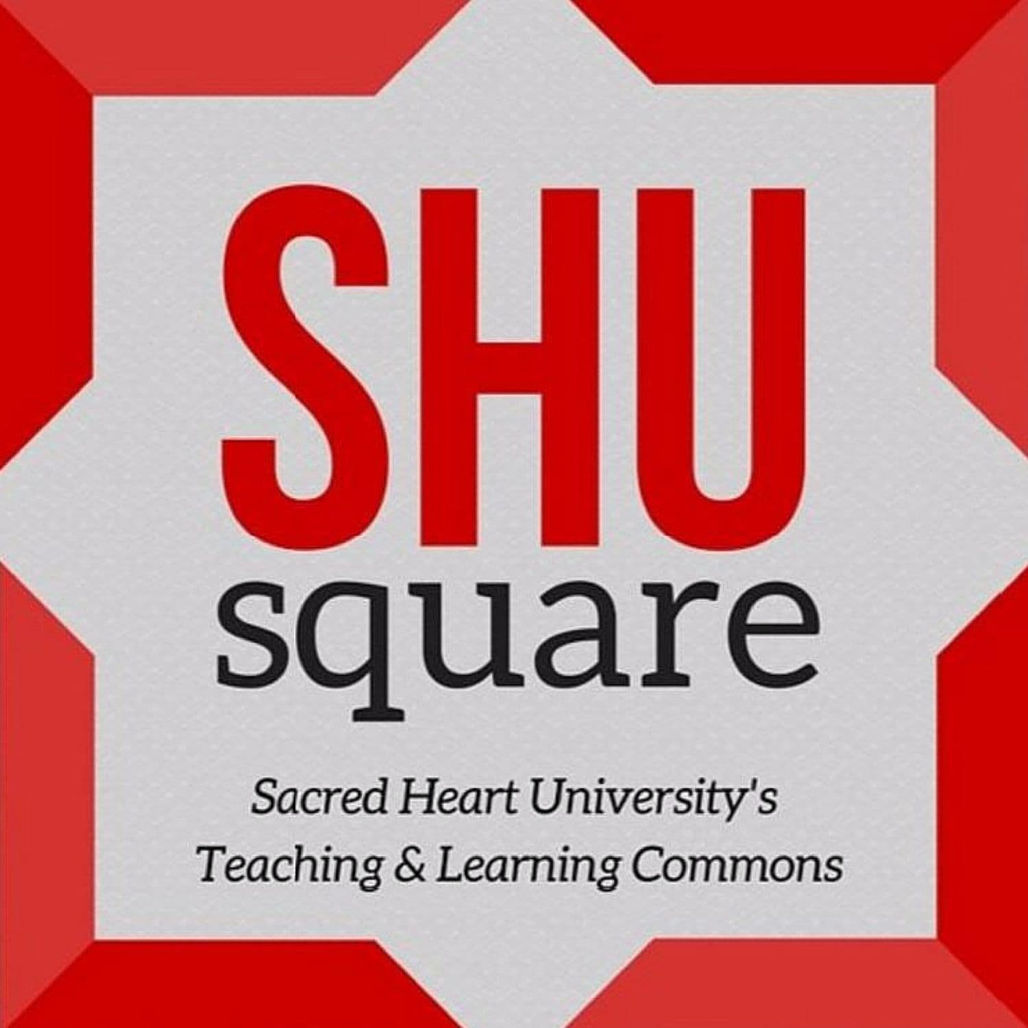 Shusquare Politics Election 2016 cover