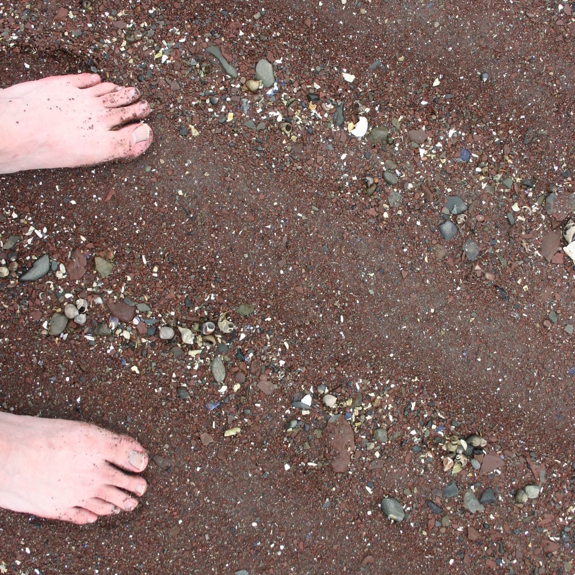The Barefoot Project cover
