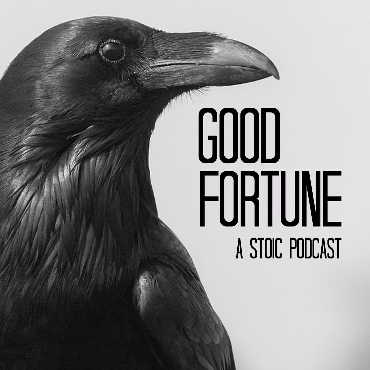 Episode 18: Conflict - Good Fortune cover