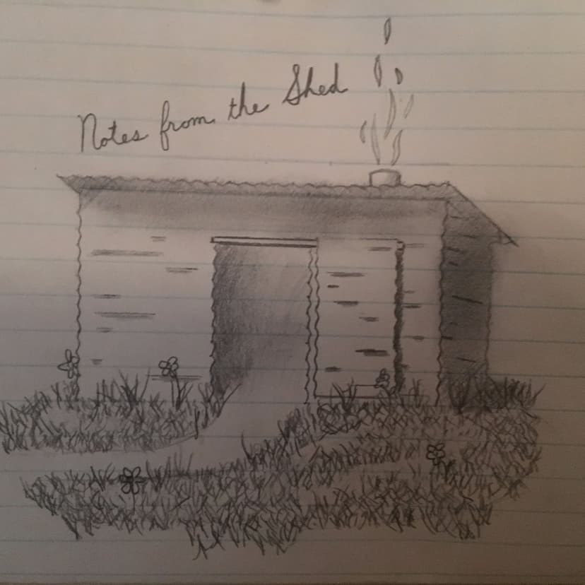 Notes From The Shed cover