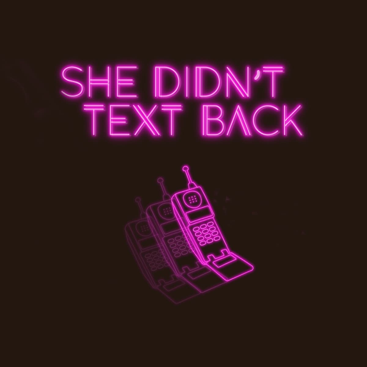 She Didn't Text Back Podcast cover