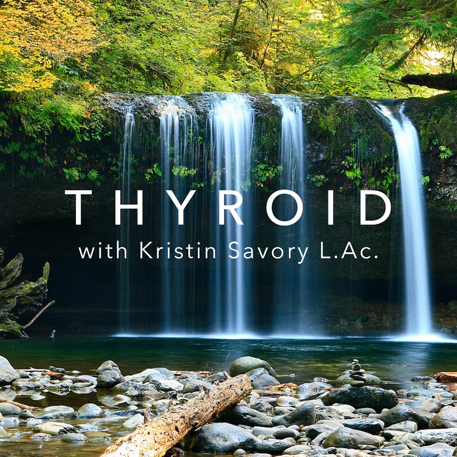 THYROID cover
