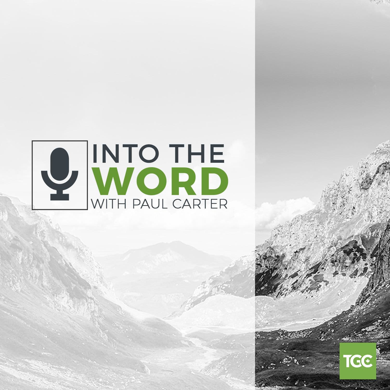 Into The Word with Paul Carter cover
