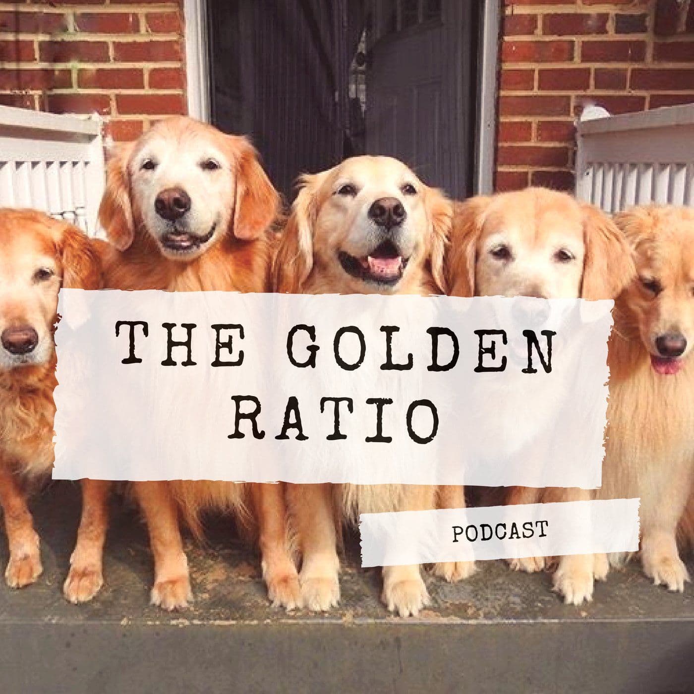 401. Cow Grass - The Golden Ratio Podcast cover