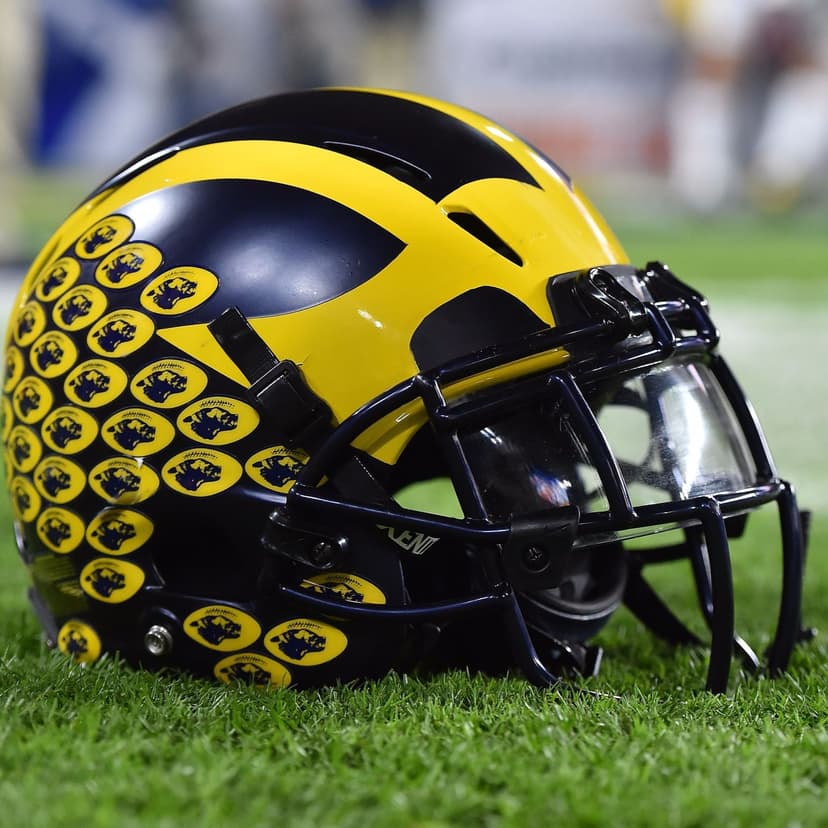 The Michigan Rant cover