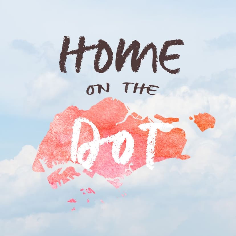 Home on the Dot cover
