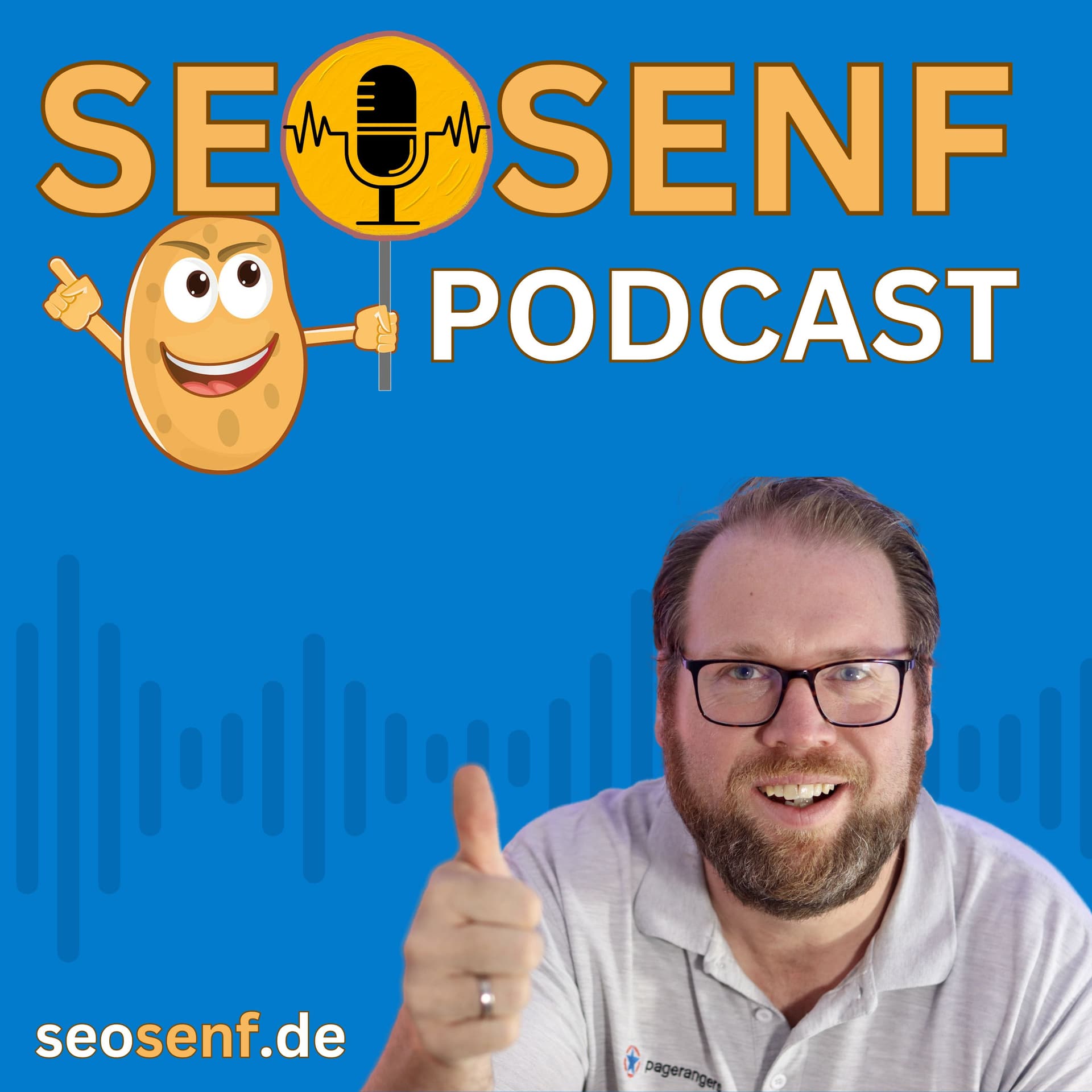SEOSENF - SEO für Einsteiger & Fortgeschrittene cover