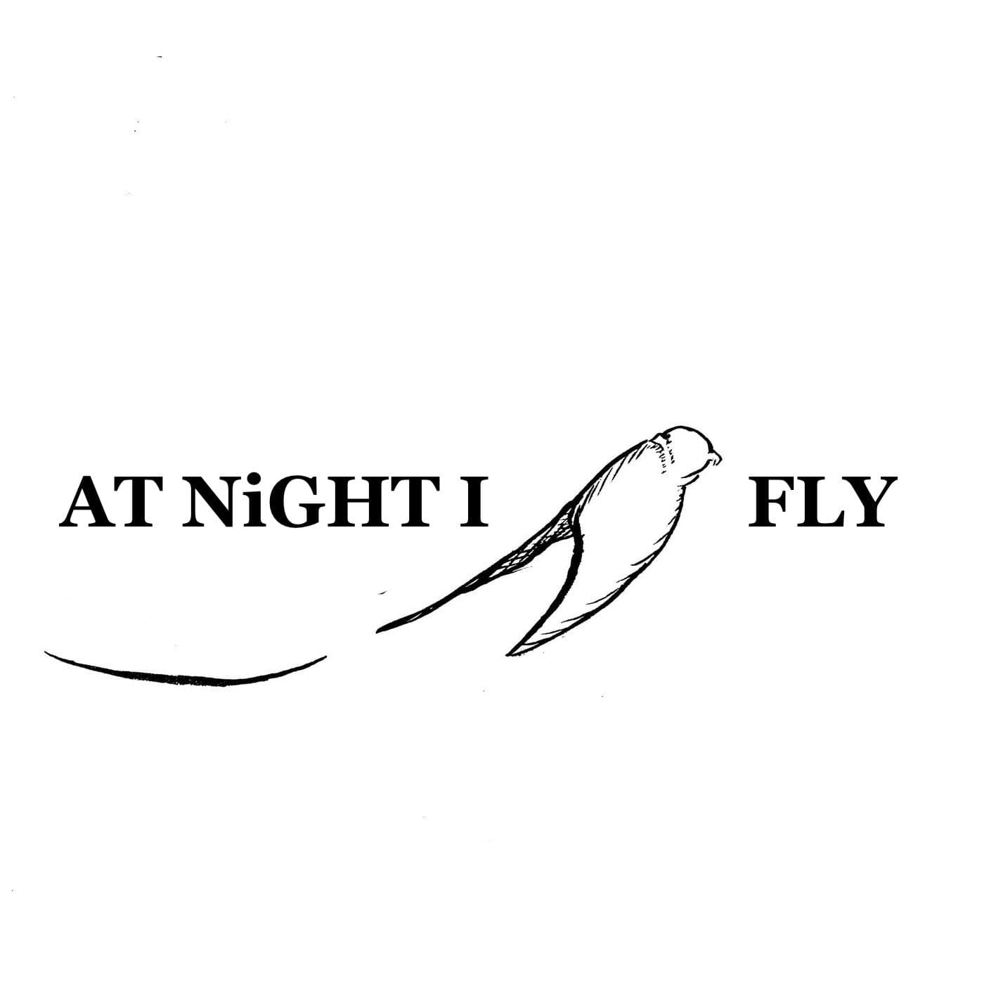 At Night I Fly cover