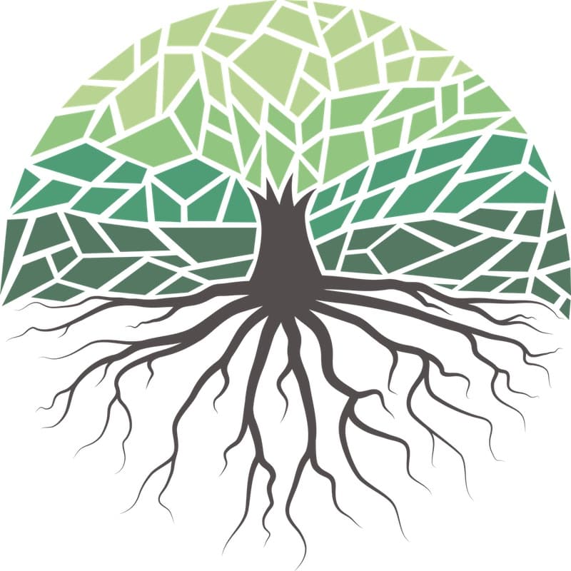 The Grove Church cover