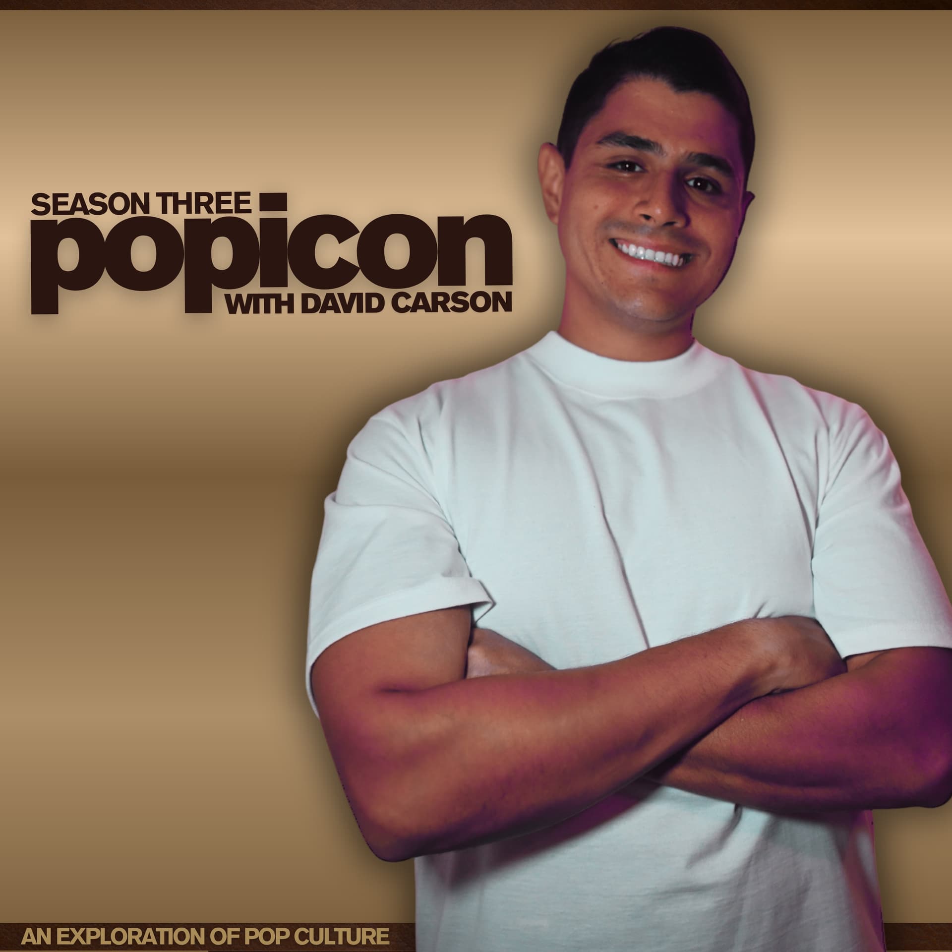 Pop Icon with David Carson cover
