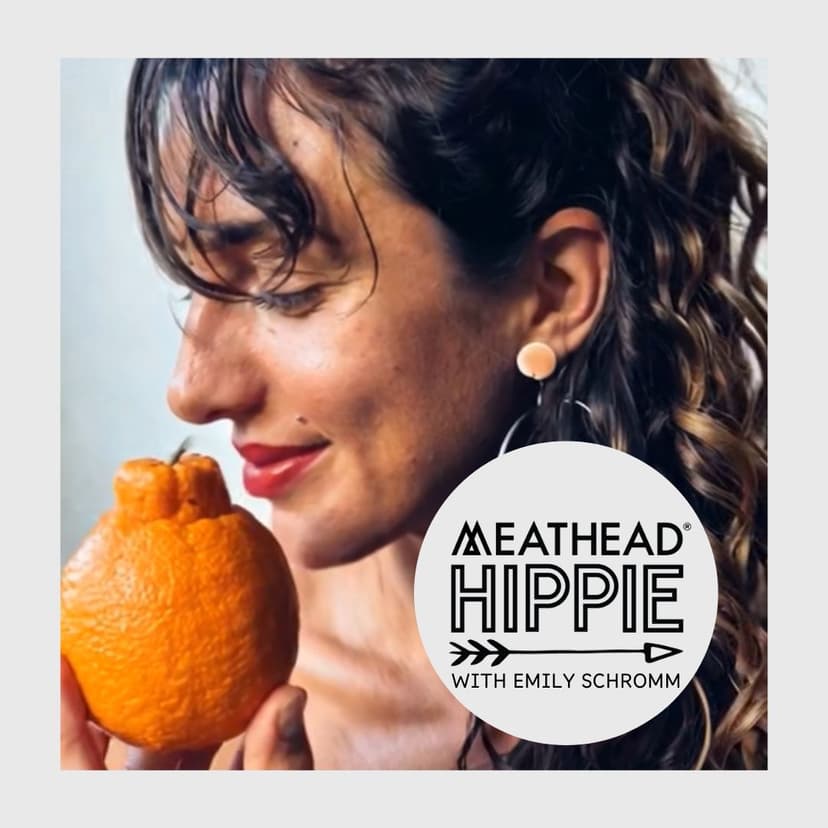 Meathead Hippie cover