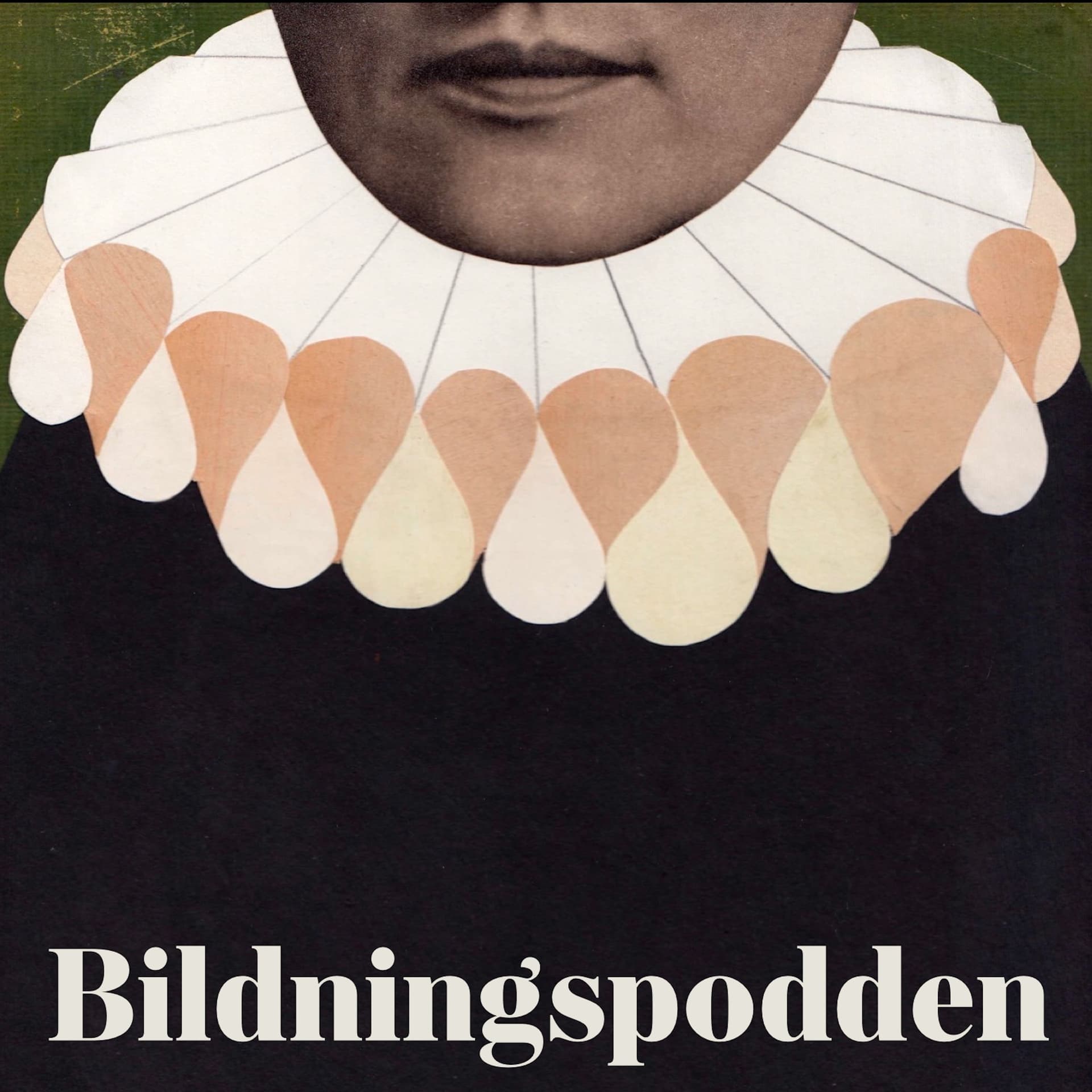 Bildningspodden cover