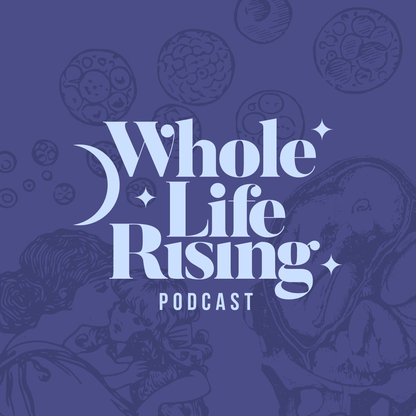 Episode 7 - Fr. James Martin, SJ - Whole Life Rising cover