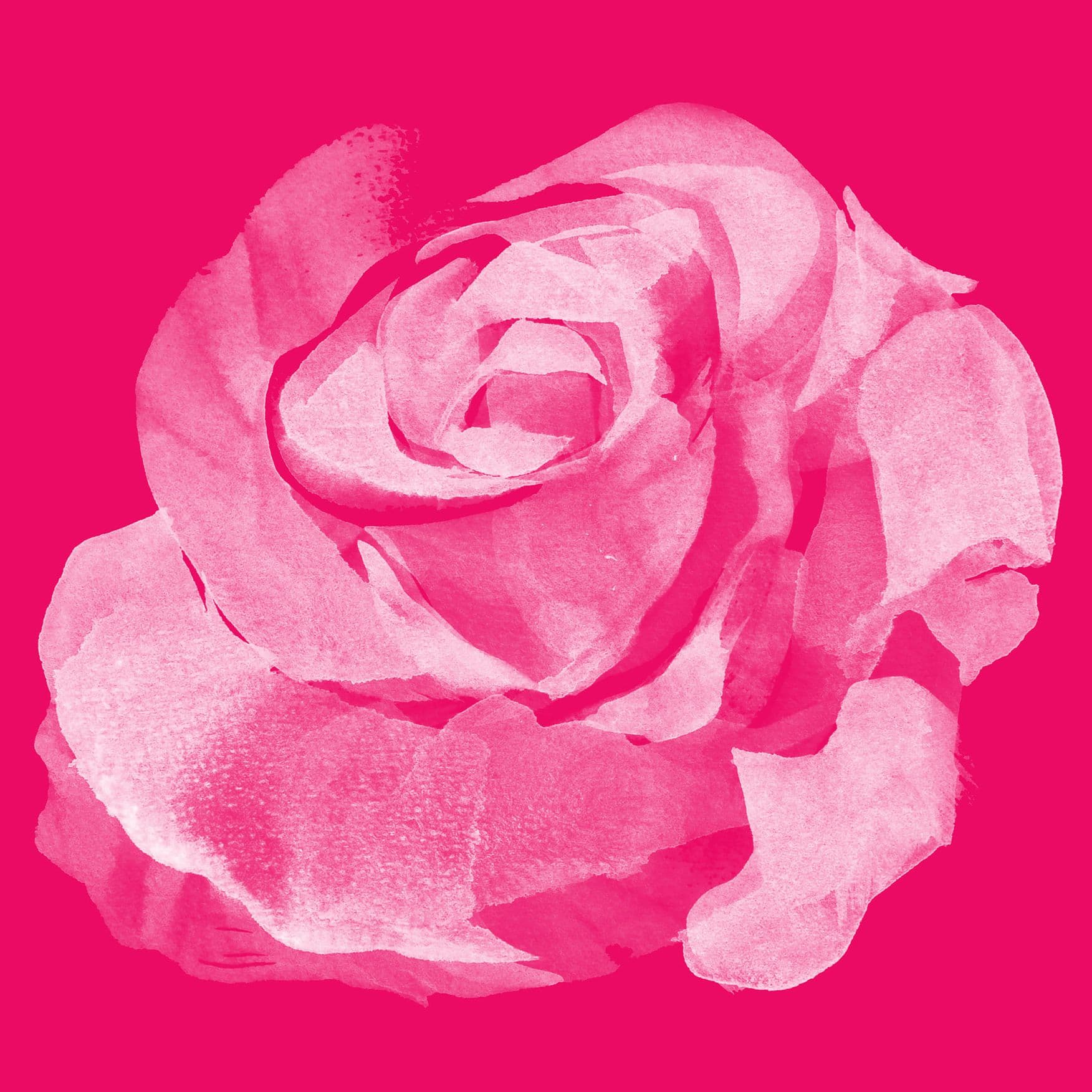 Dergah Podcast from The Sufi Lodge cover