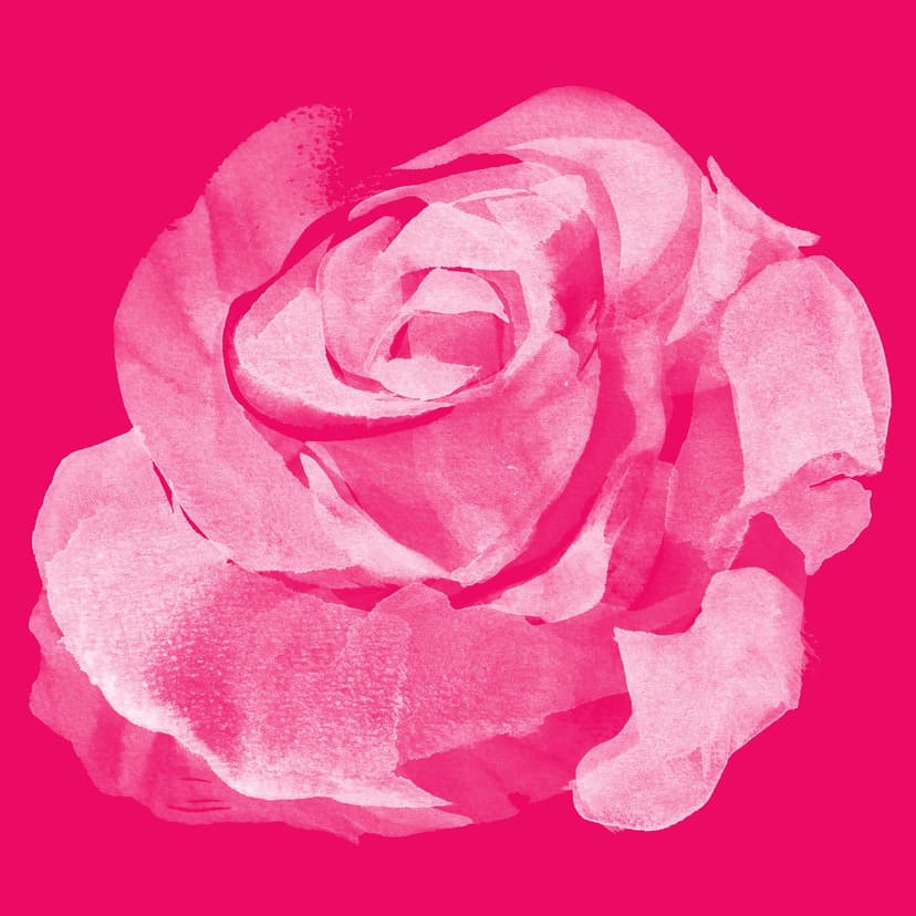 Dergah Podcast from The Sufi Lodge cover