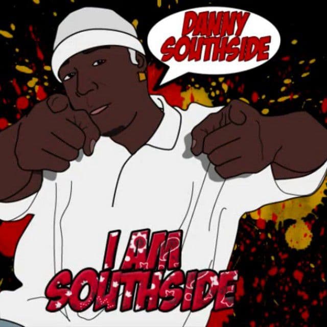 D.S.S cover