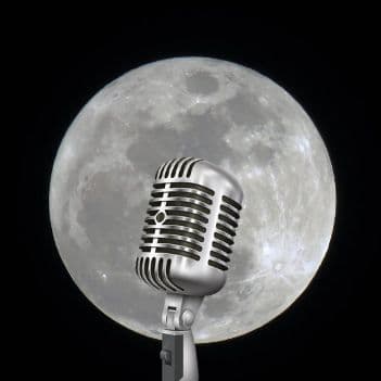 Bison Moon Group Inc cover