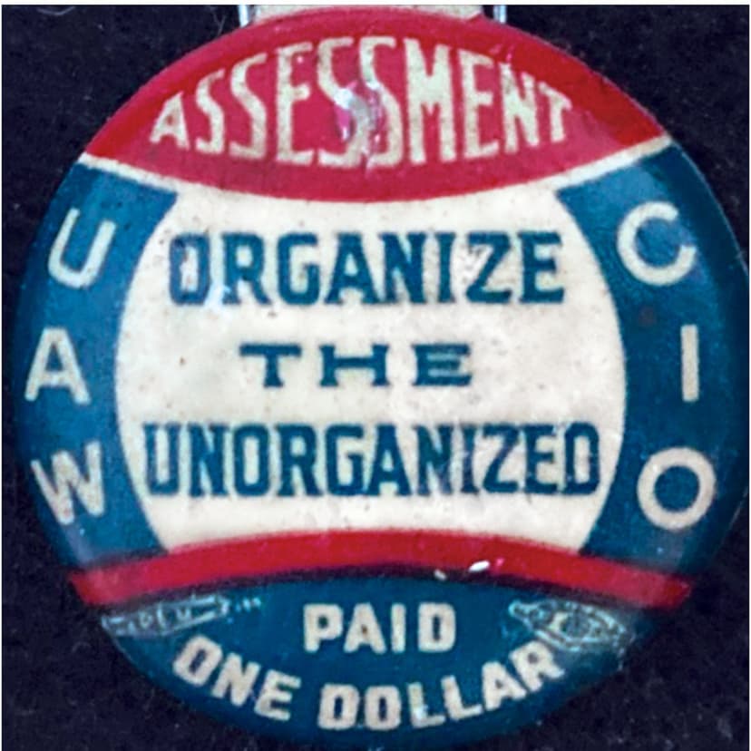 Organize the Unorganized: The Rise of the CIO cover