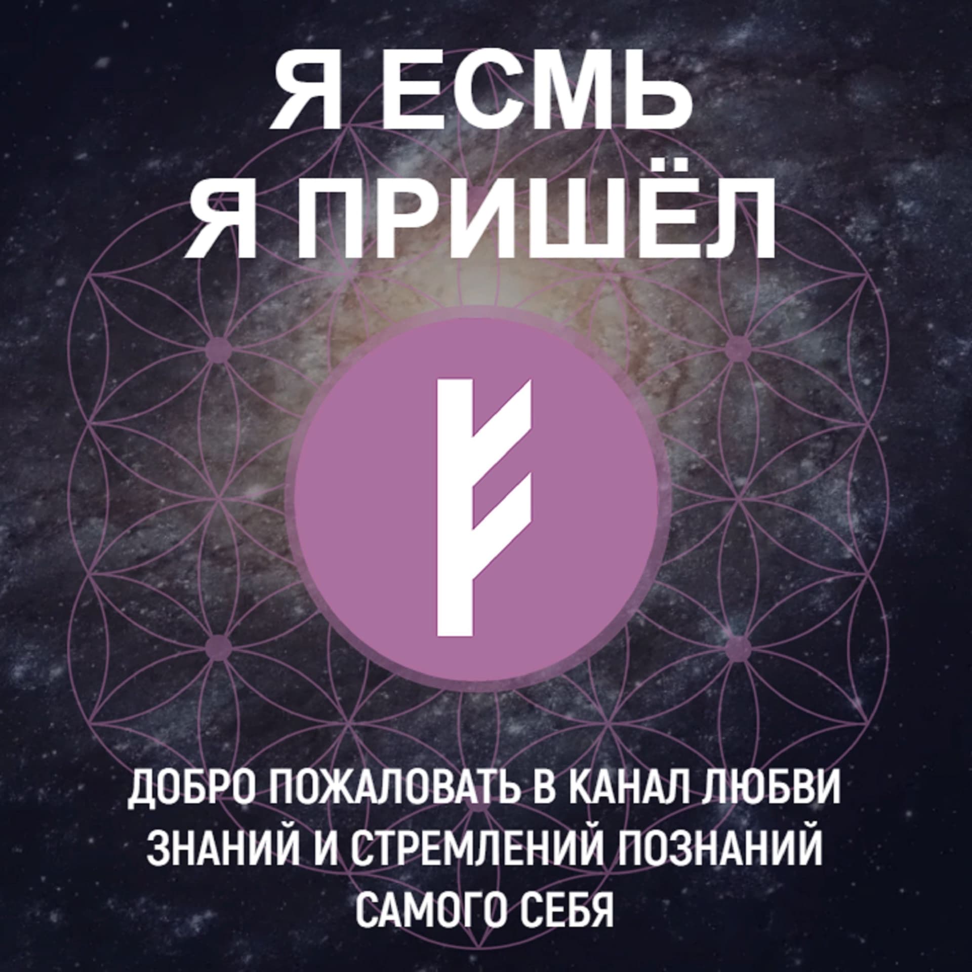 Dmitry Kasianov cover