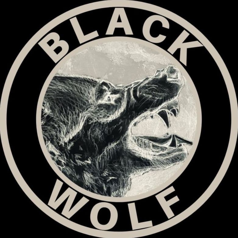 Black Wolf cover